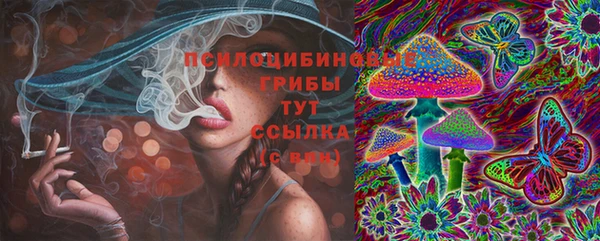 МДМА Бородино